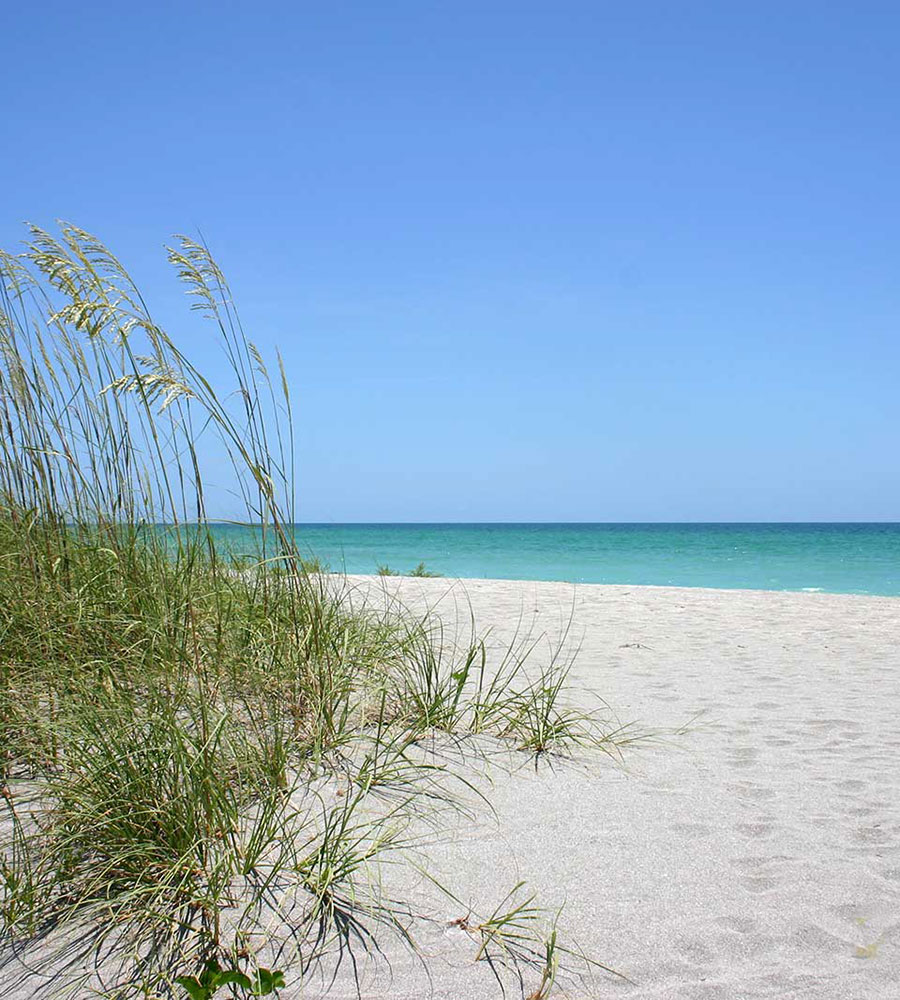 beach