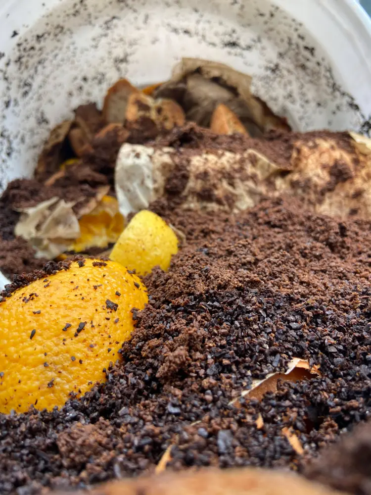 Food scraps in a bucket.