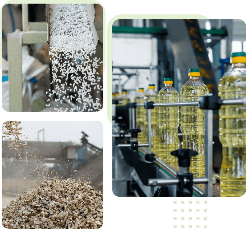 Releaf Transforming food processing in Africa