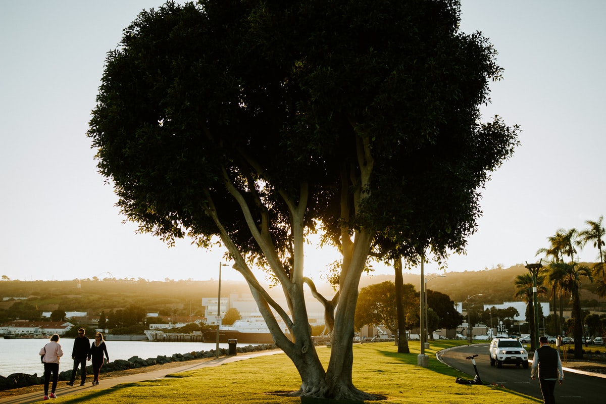 20 Top EdTech Startups Companies San Diego 