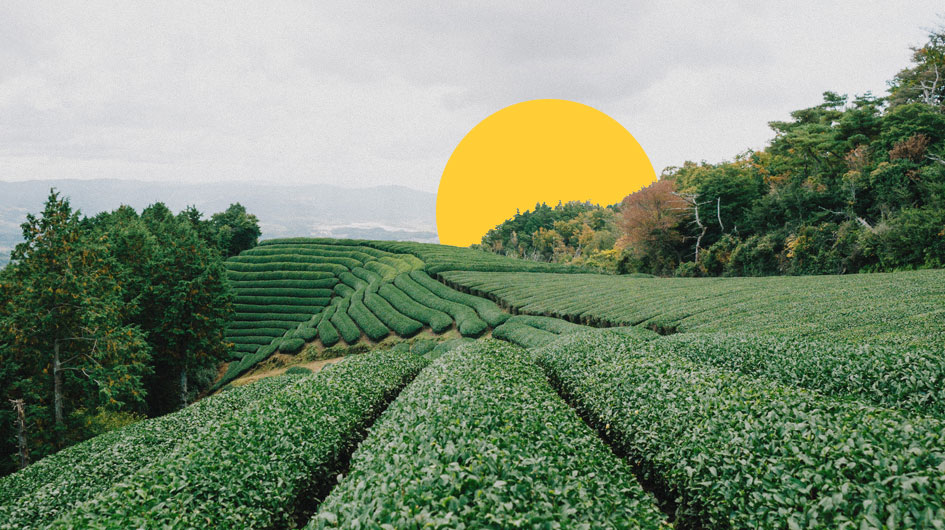 La importancia de la calidad del producto en la industria alimentaria