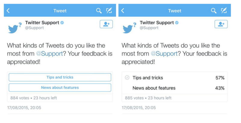 Engage in Twitter Polls