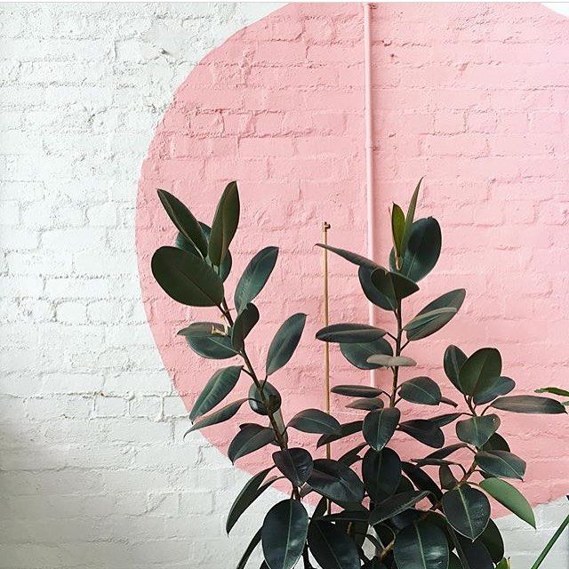 Millennial Pink for products
