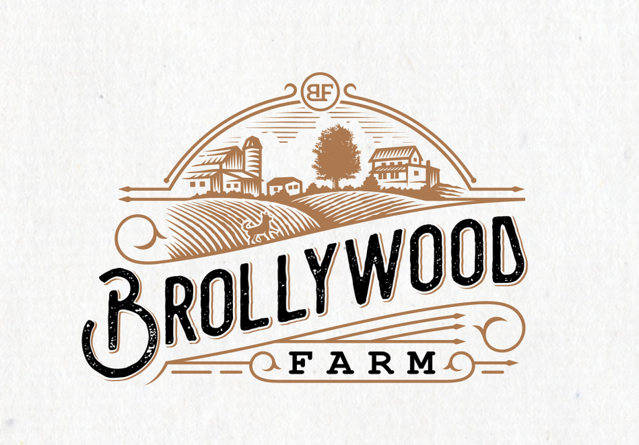 brollywood logo