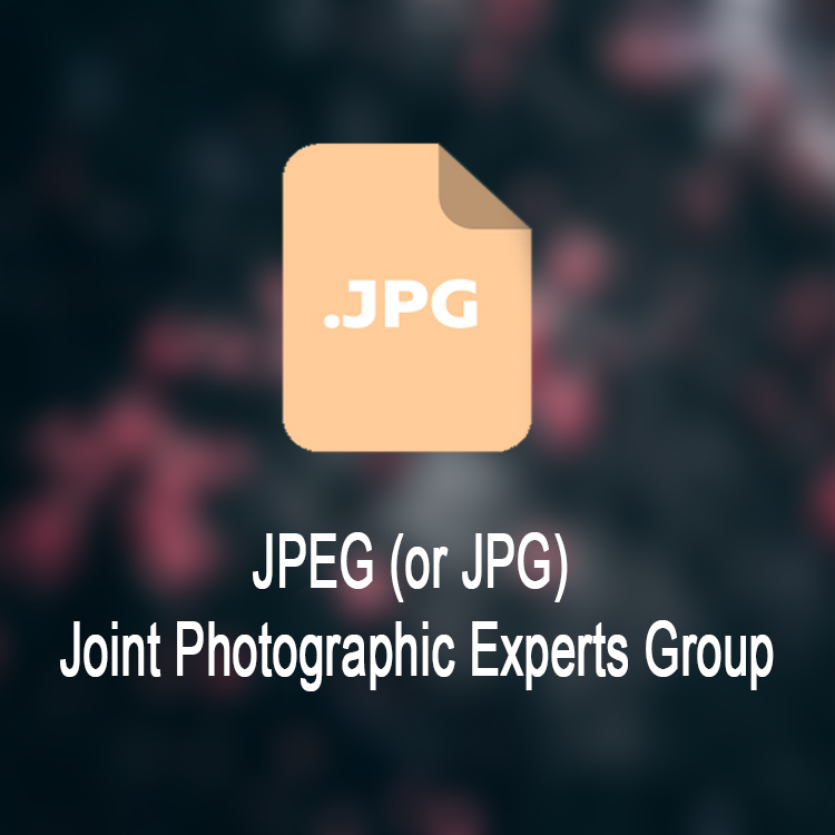 JPEG (or JPG) – Joint Photographic Experts Group
