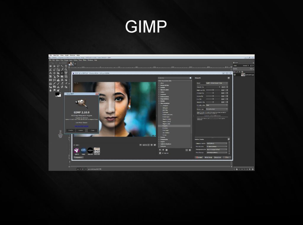 GIMP
