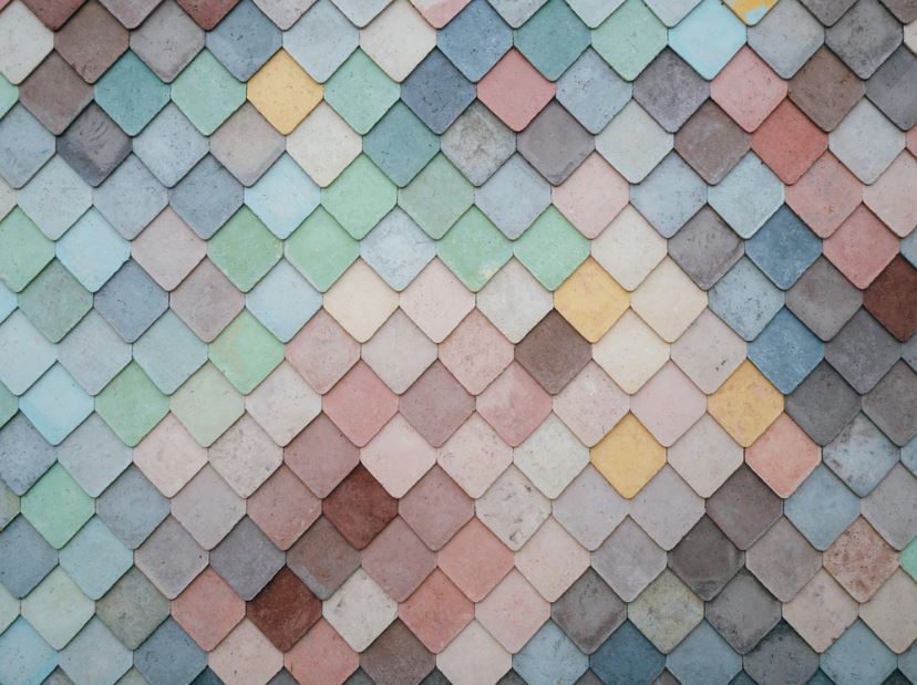 color palette