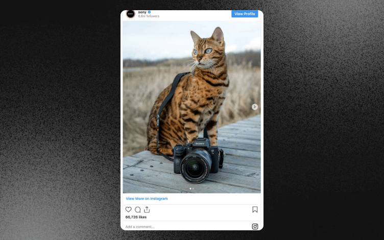 Sony Instagram Ads