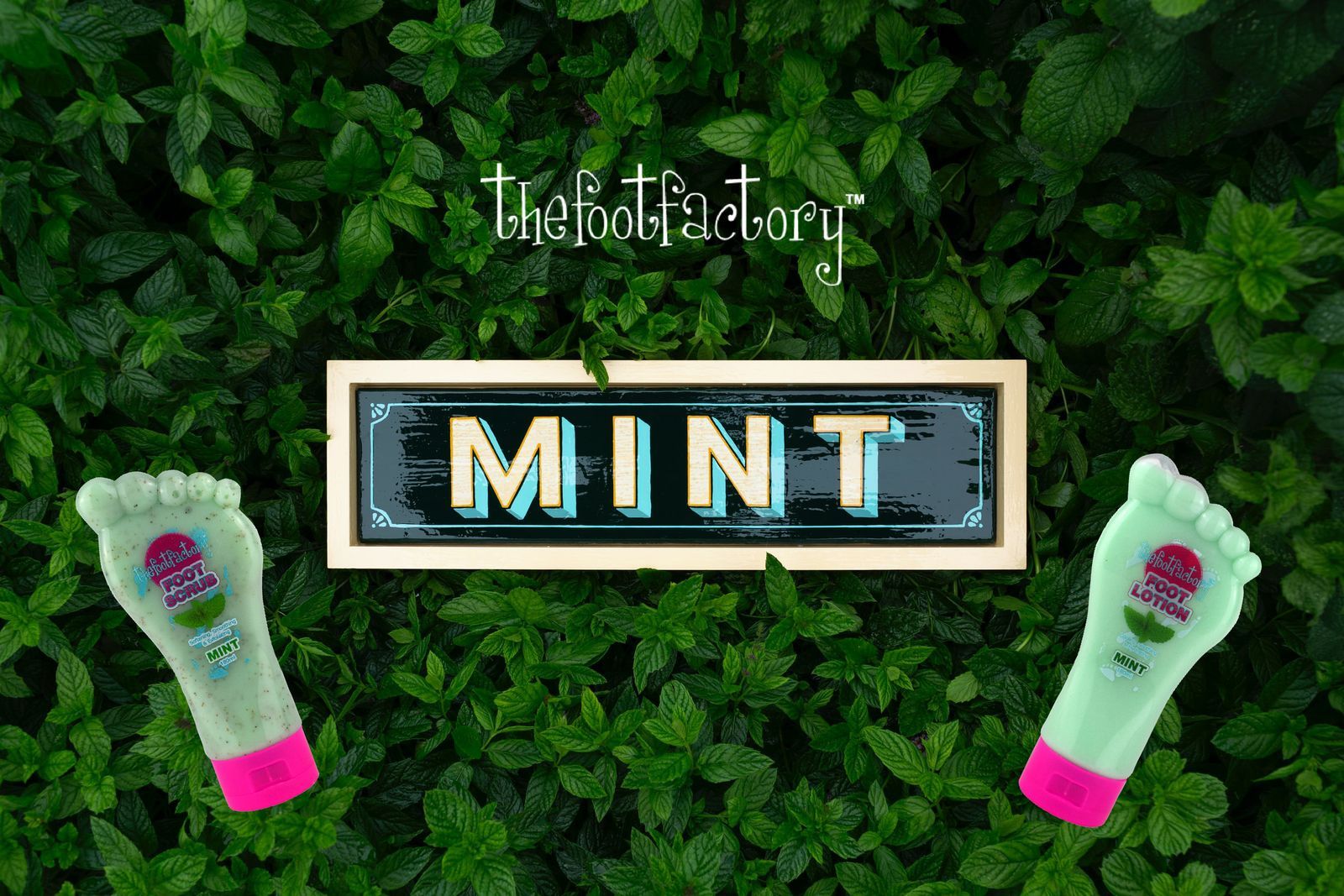 Quest Personal Care Global Ltd The Foot Factory