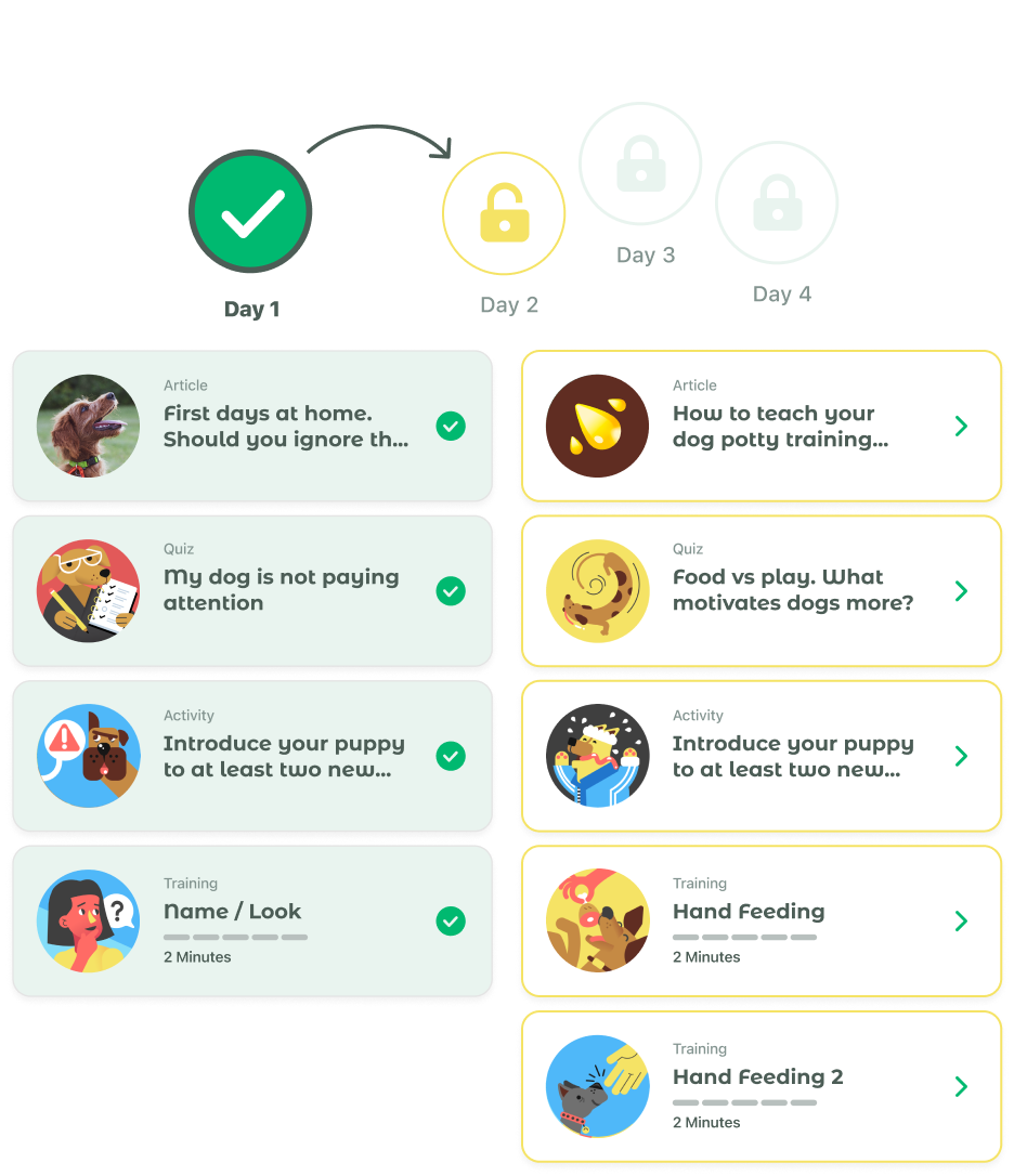 You Personal Dog Training Plan with Dogo