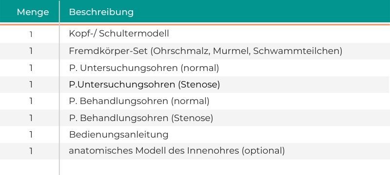 Ohren-Untersuchungssimulator
