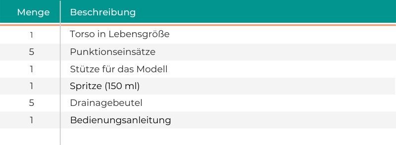 Epiduralanästhesie Simulator