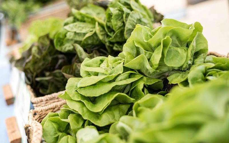 The Best Greens for Your Thyroid and Kidneys! The Whole Journey