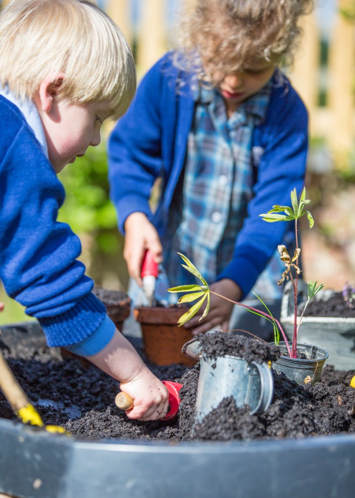 Establishing An Effective Outdoor Learning Environment Establishing An Effective Outdoor Learning Environment