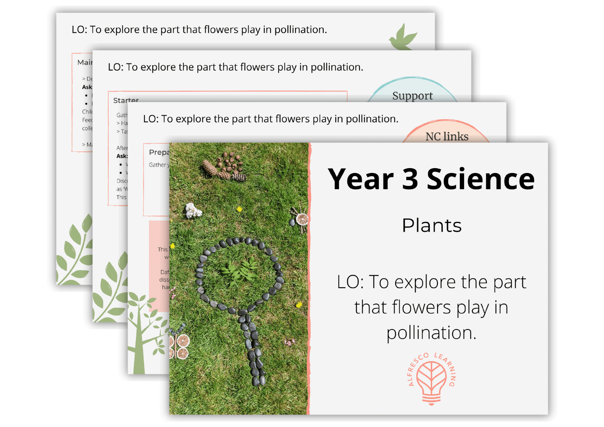 Taking Year 3 - Plants Outdoors