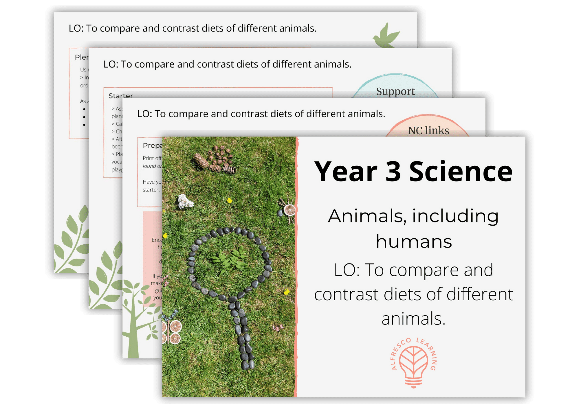Taking Year 3 - Animals, including humans Outdoors