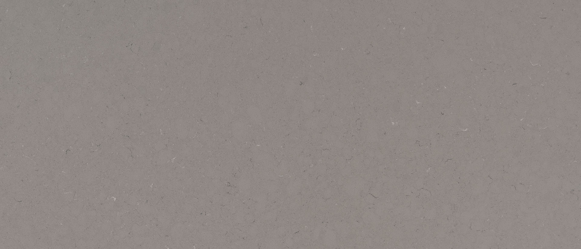 Fossil gray quartz countertop close up