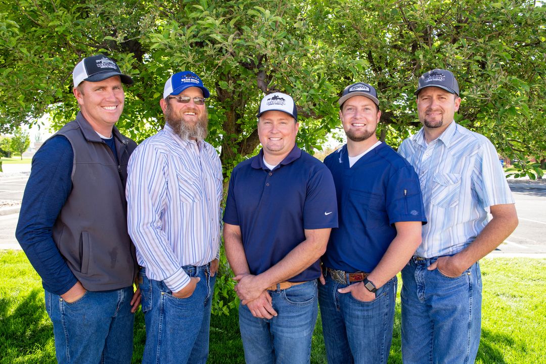 Veterinarian Tremonton, UT Bear River Animal Hospital