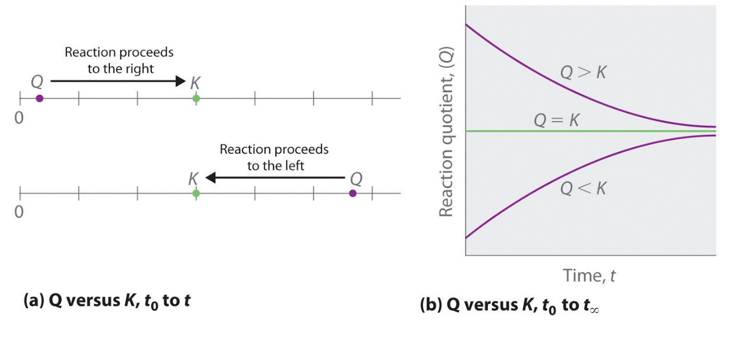 Reaction Quotient