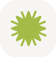 Loop Subscriptions: Shopify Subscription App | 1500+ Stores