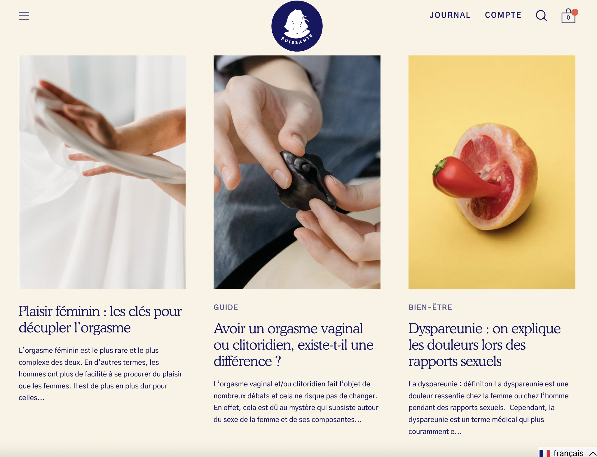 Screenshot du blog de Puissante