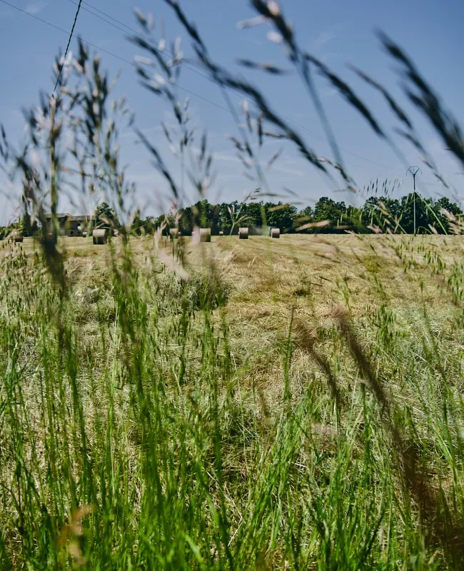 I campi del Ciaolatte