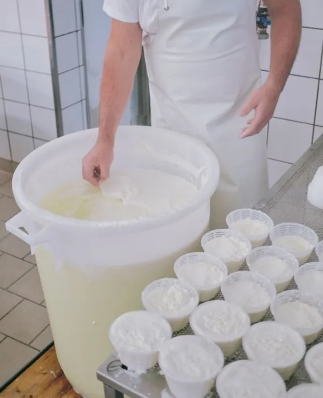 Produzione della ricotta