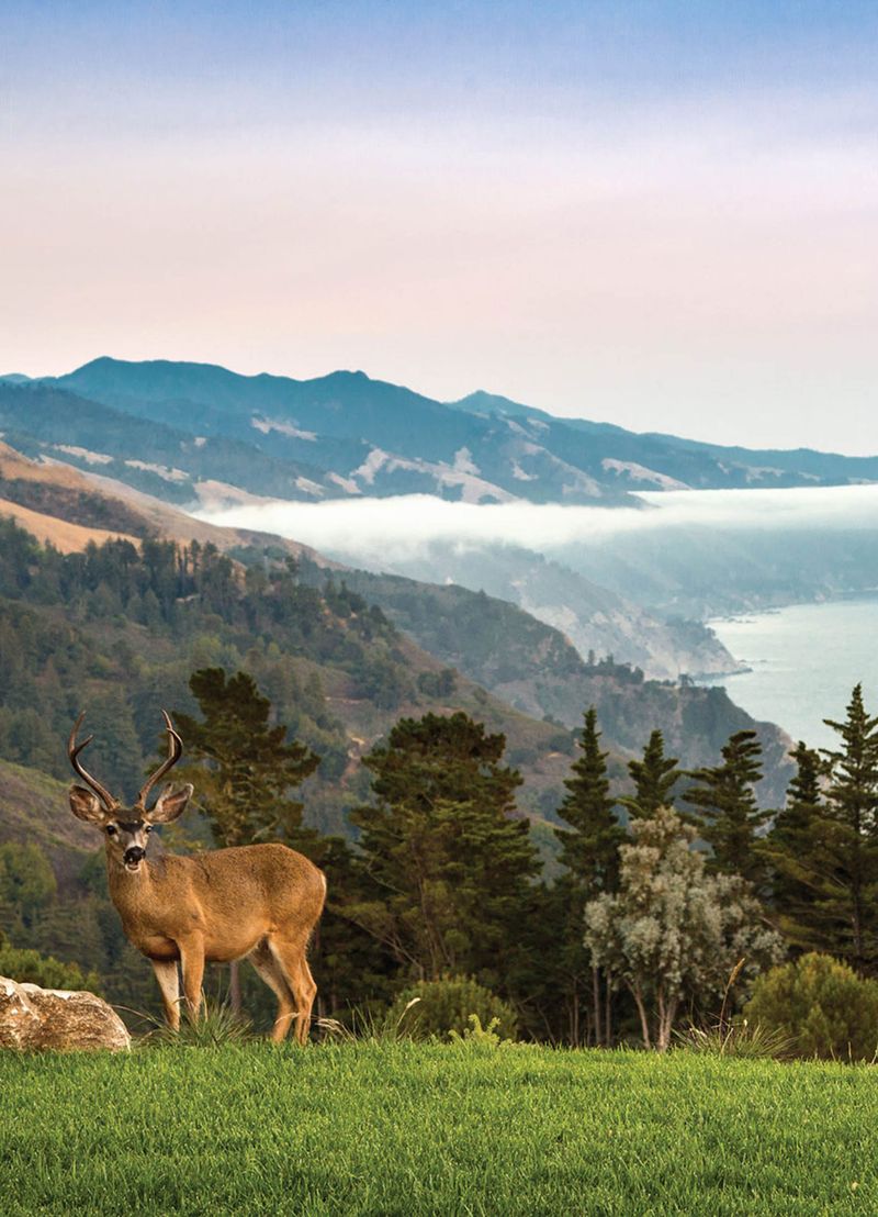 Big Sur Hotels | Post Ranch Inn | Carmel Luxury Resort