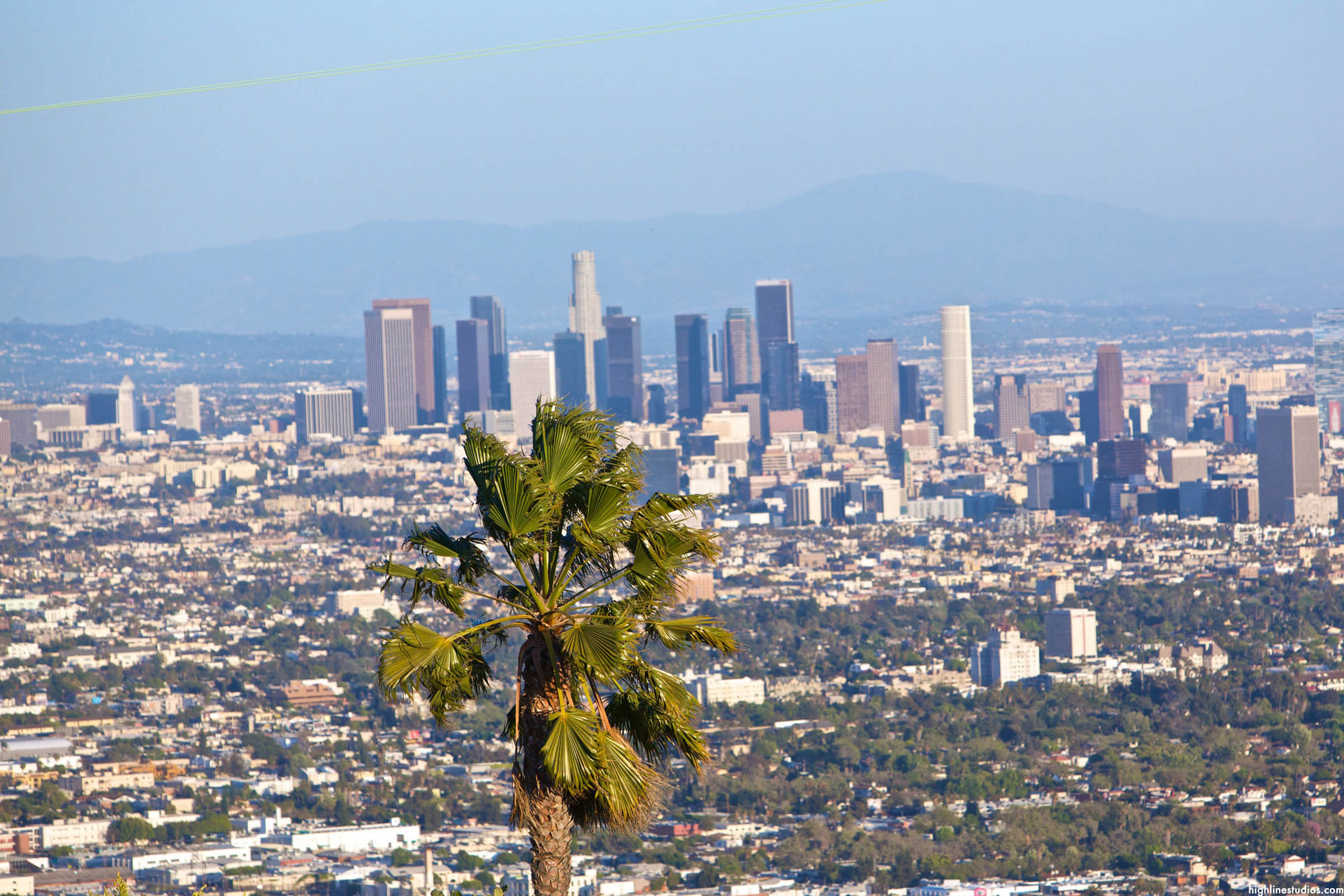 a distant view of Los Angeles with a palm tree in the foreground