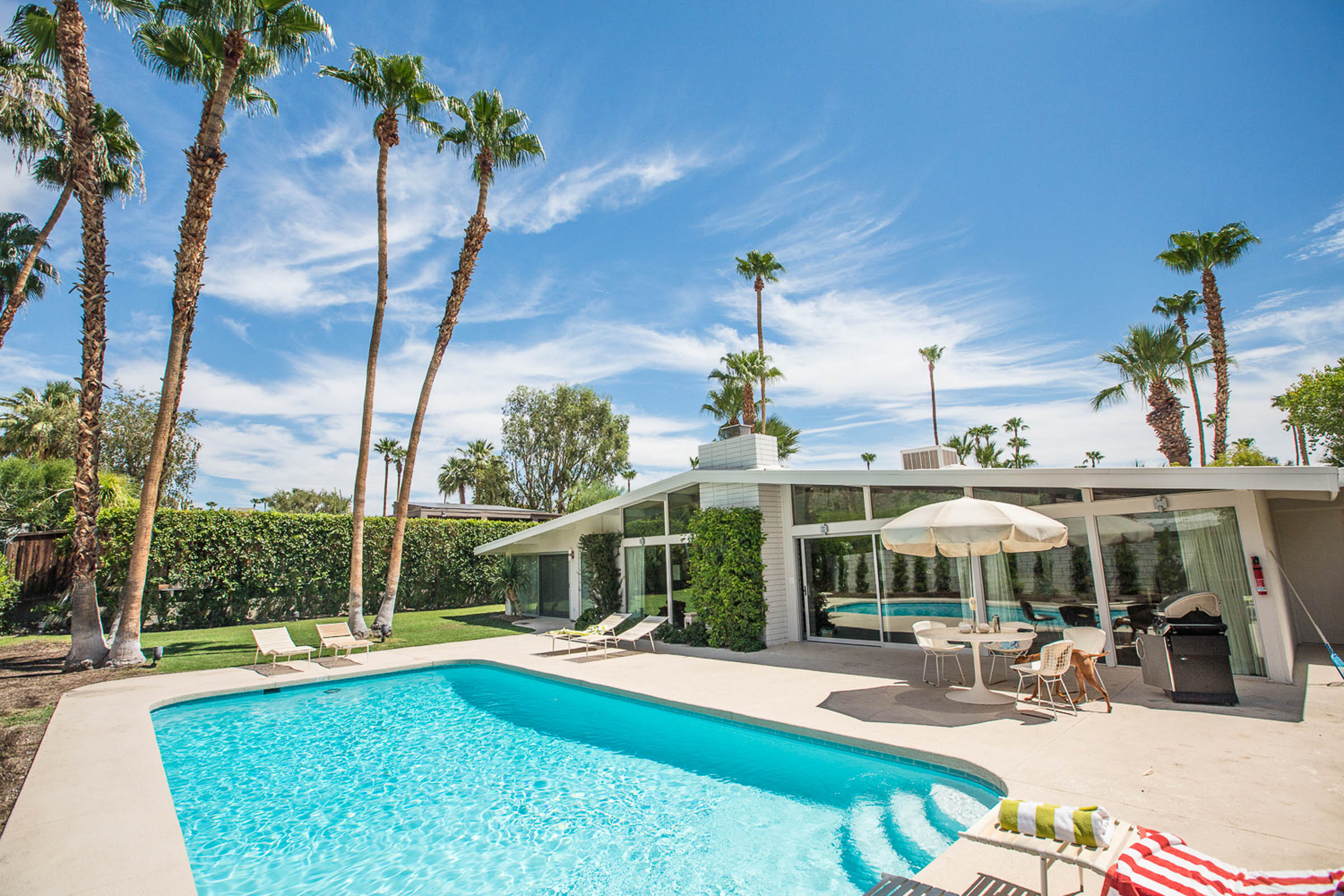 a sunny pool surrounded by palm trees