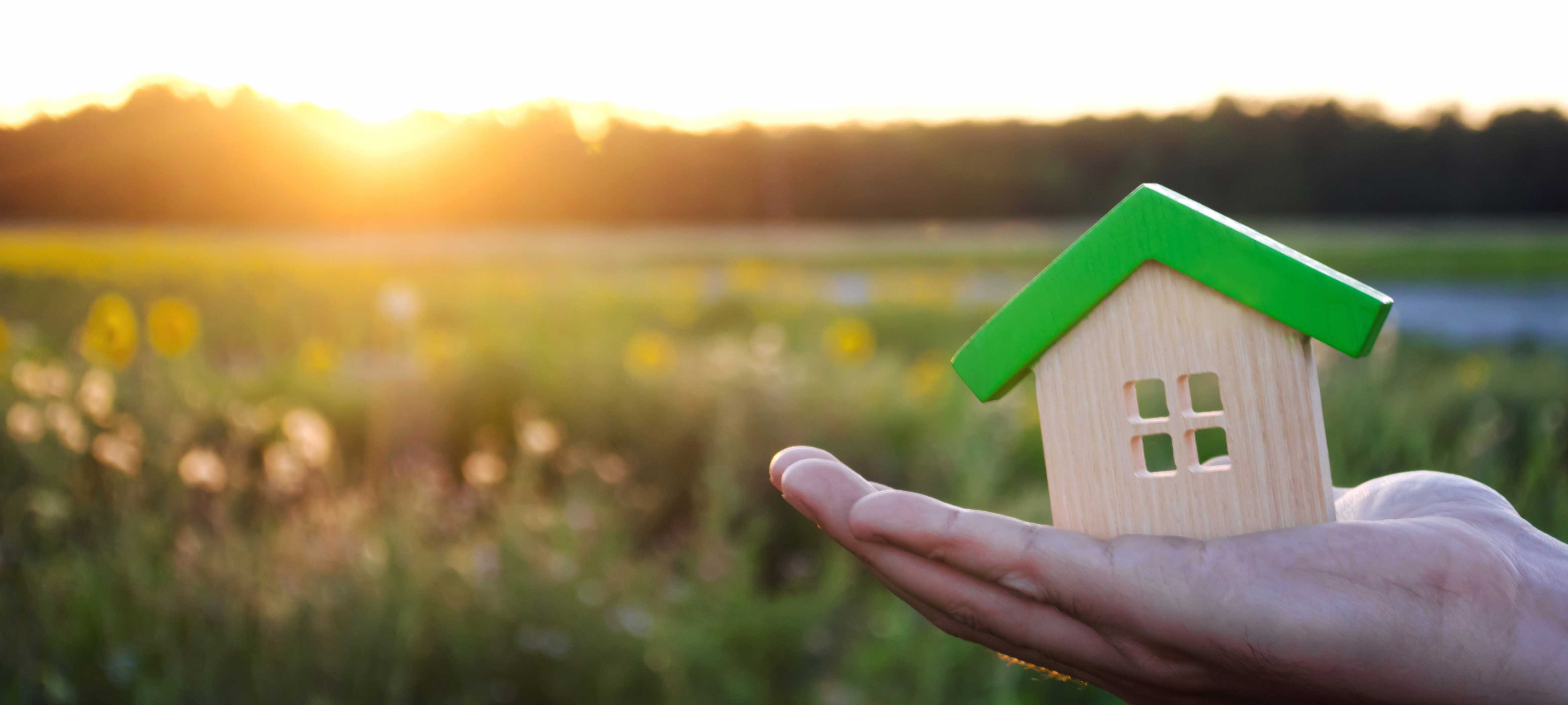 10 simple ways to make your home more eco-friendly | Moveinout