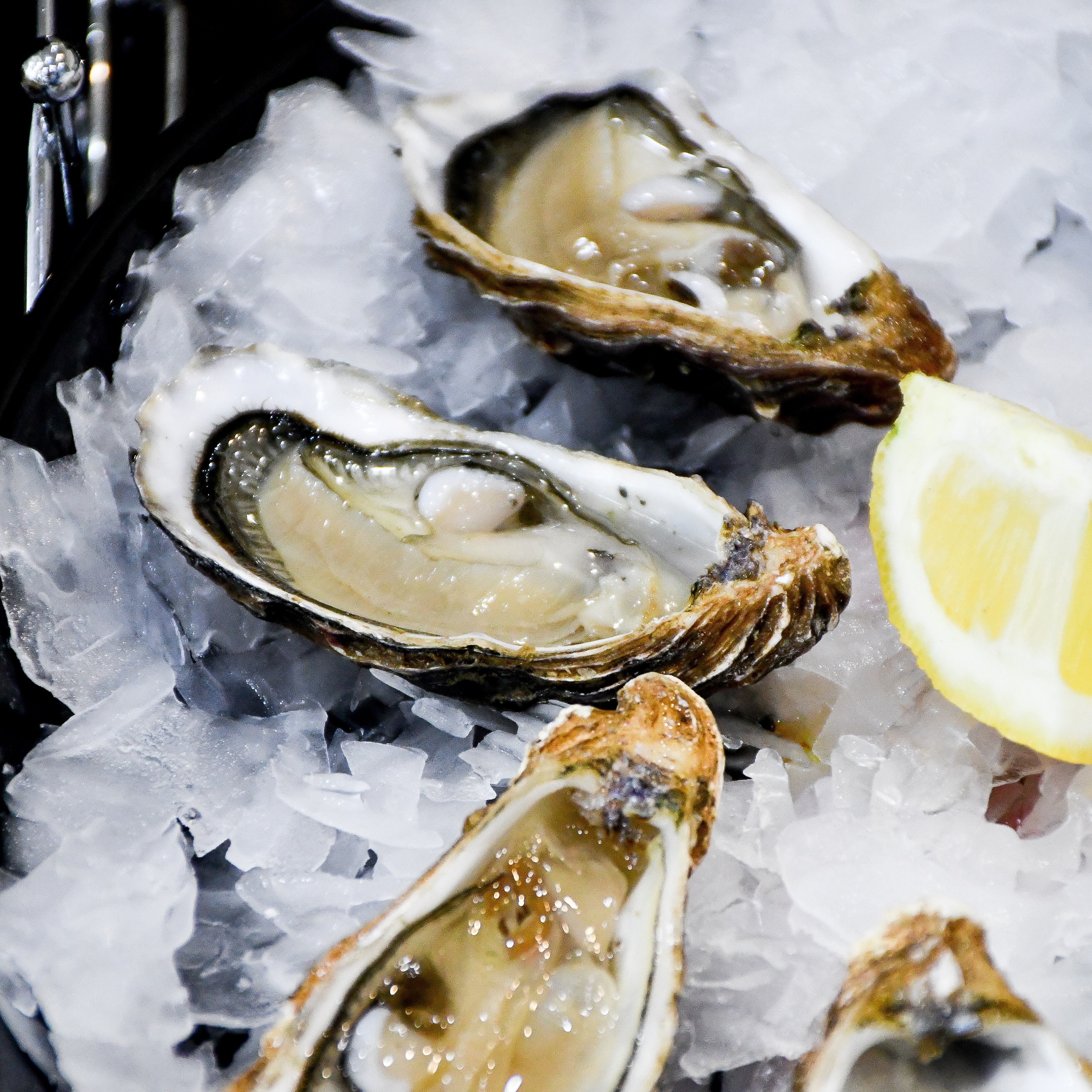 Margaux's Oyster Bar