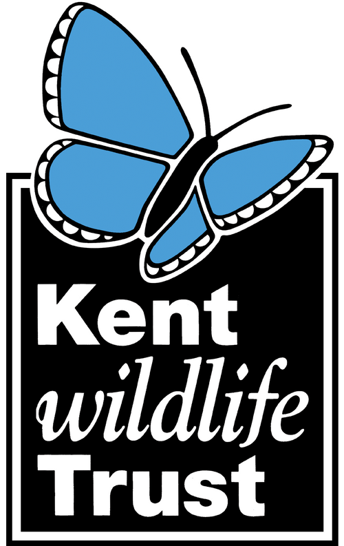 Mergin Maps: Collect, Store and Analyze your Geo-Data