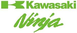 Kawasaki Ninja Logo