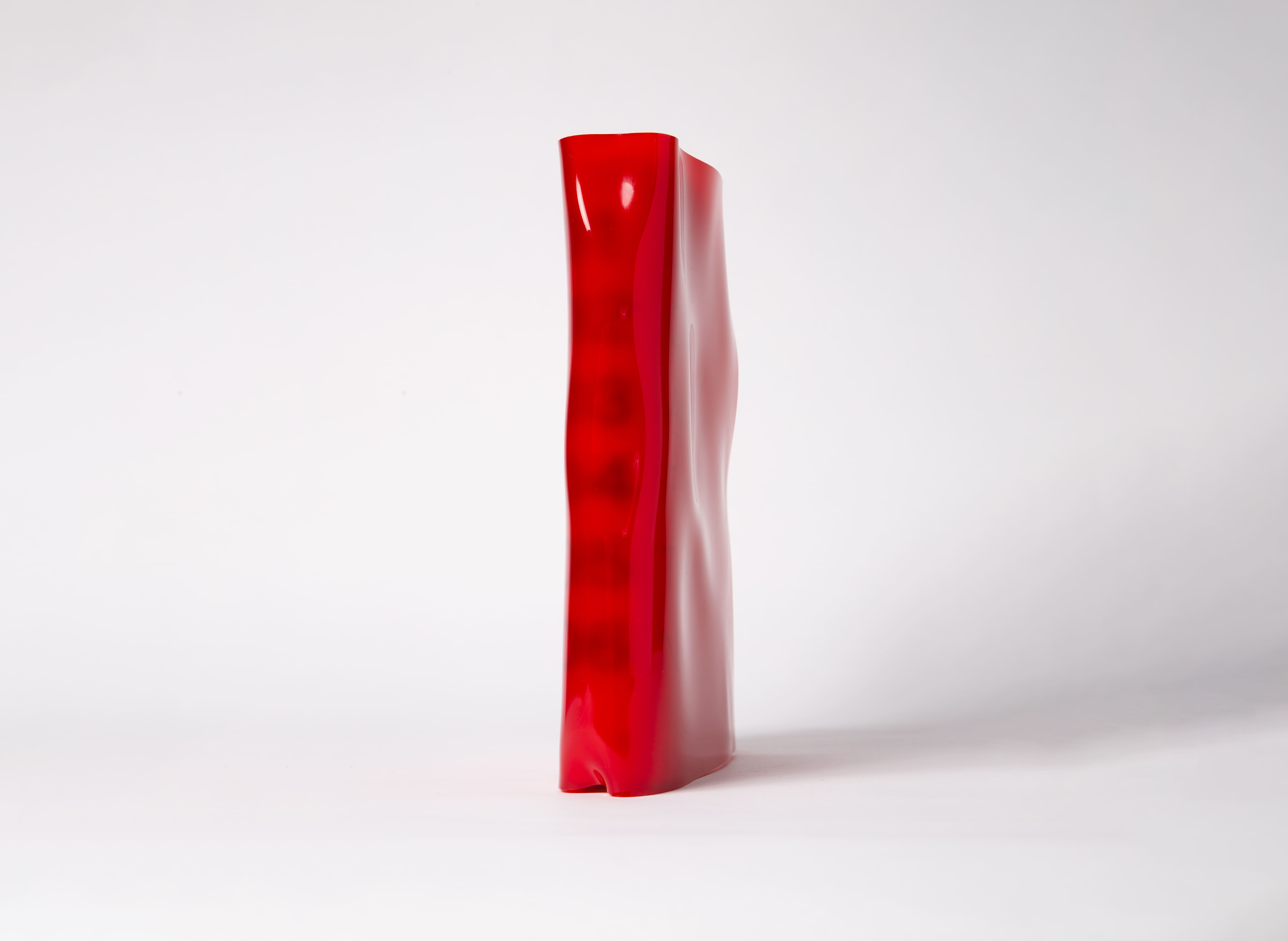 Detail close up of a hardcover book inside a red acrylic slipcase. The name of the book is in red.