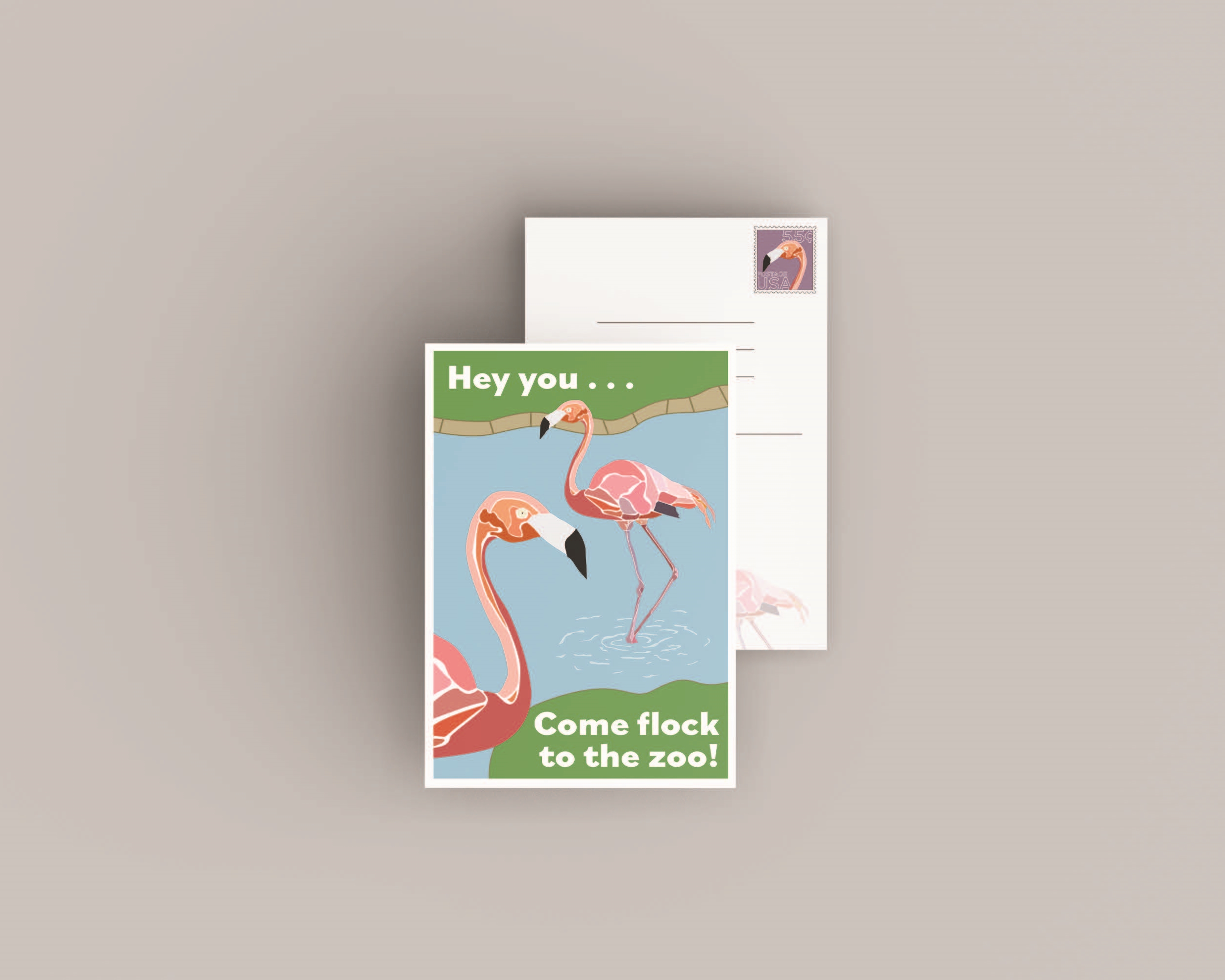 postcard design for the zoo
