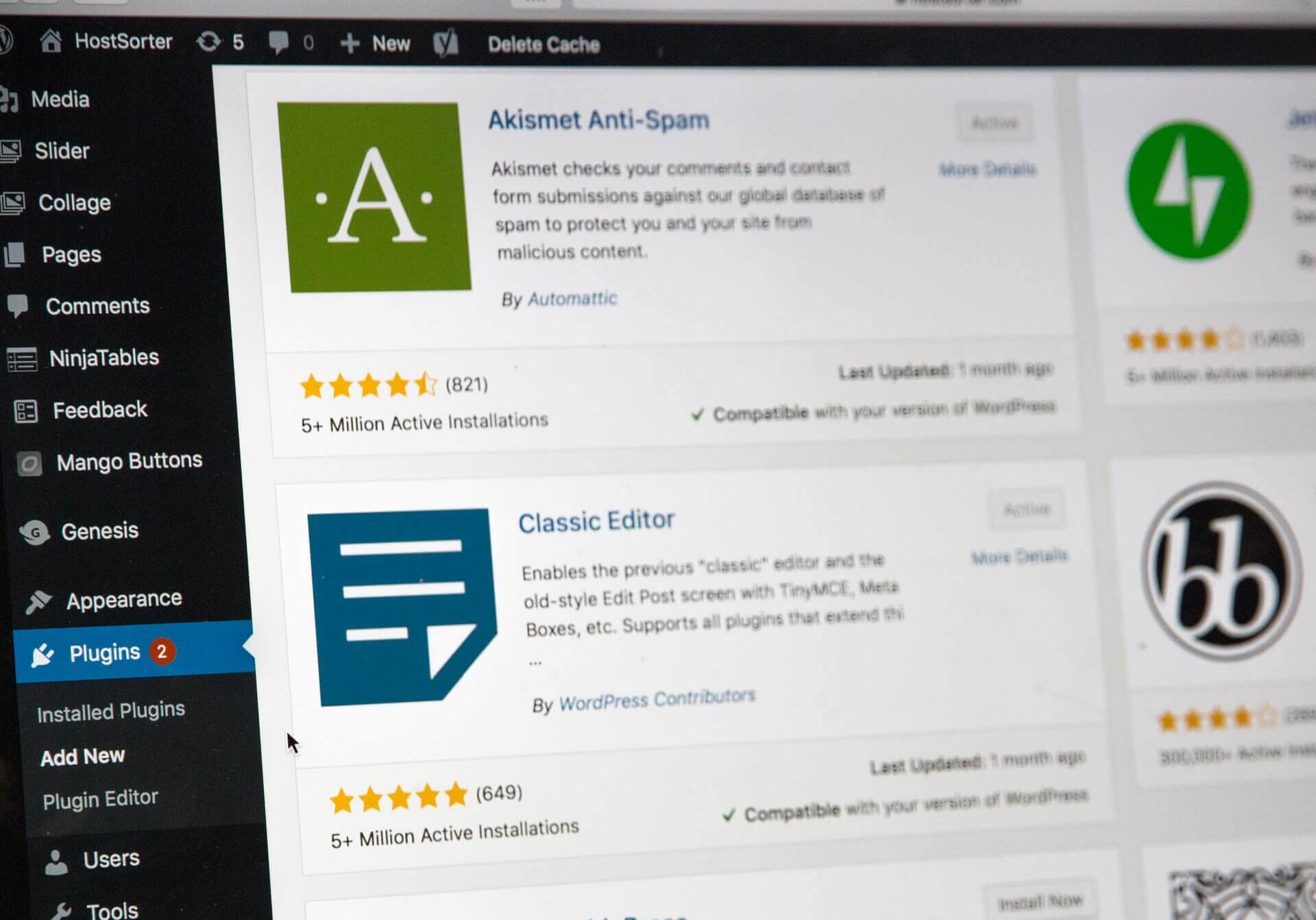 wordpress-backend