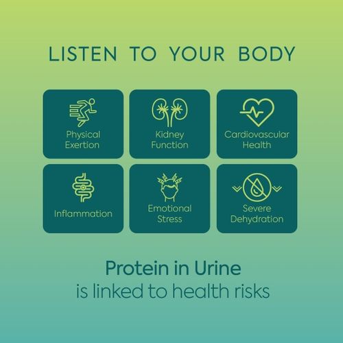 Urine Protein Test Strips Diagnox