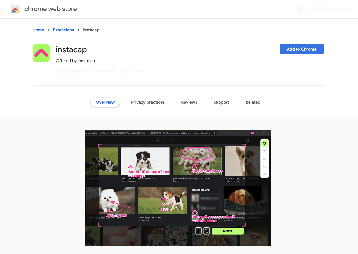 instacap screenshot annotation tool