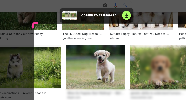 blur screenshot to hide personal or sensitive information
