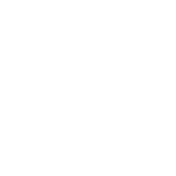 phone-icon