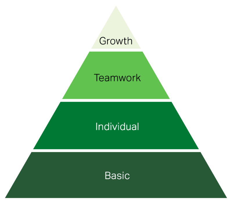 Gallup Organization Survey