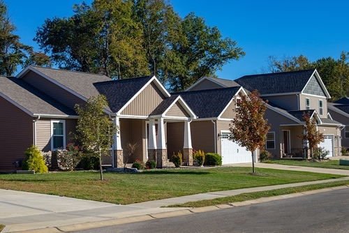 Houses in neighborhood
