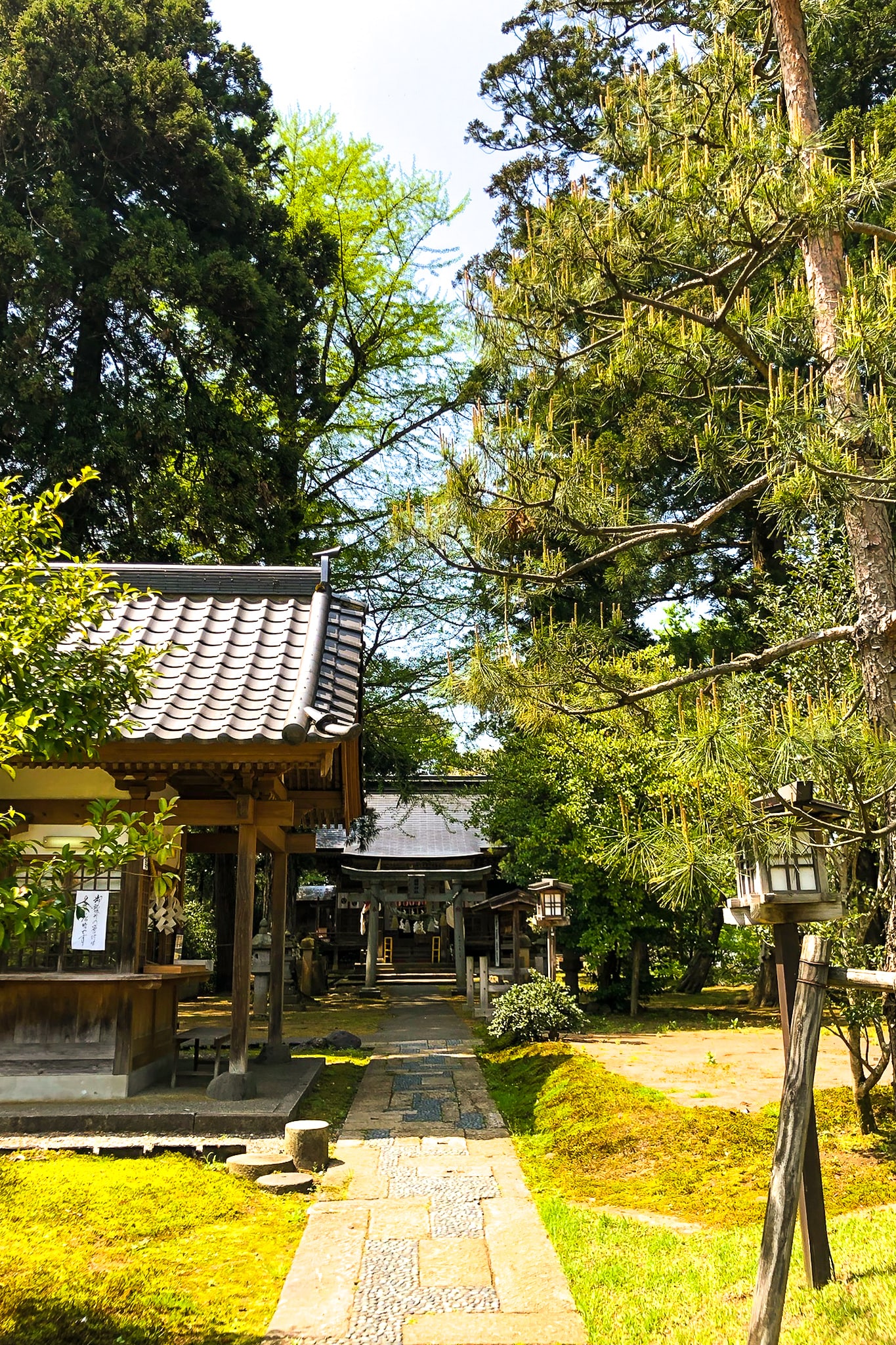園田神社について 挑戦する人、起業する人に、女性の開運活躍、躍進出世に、御利益がある神社
