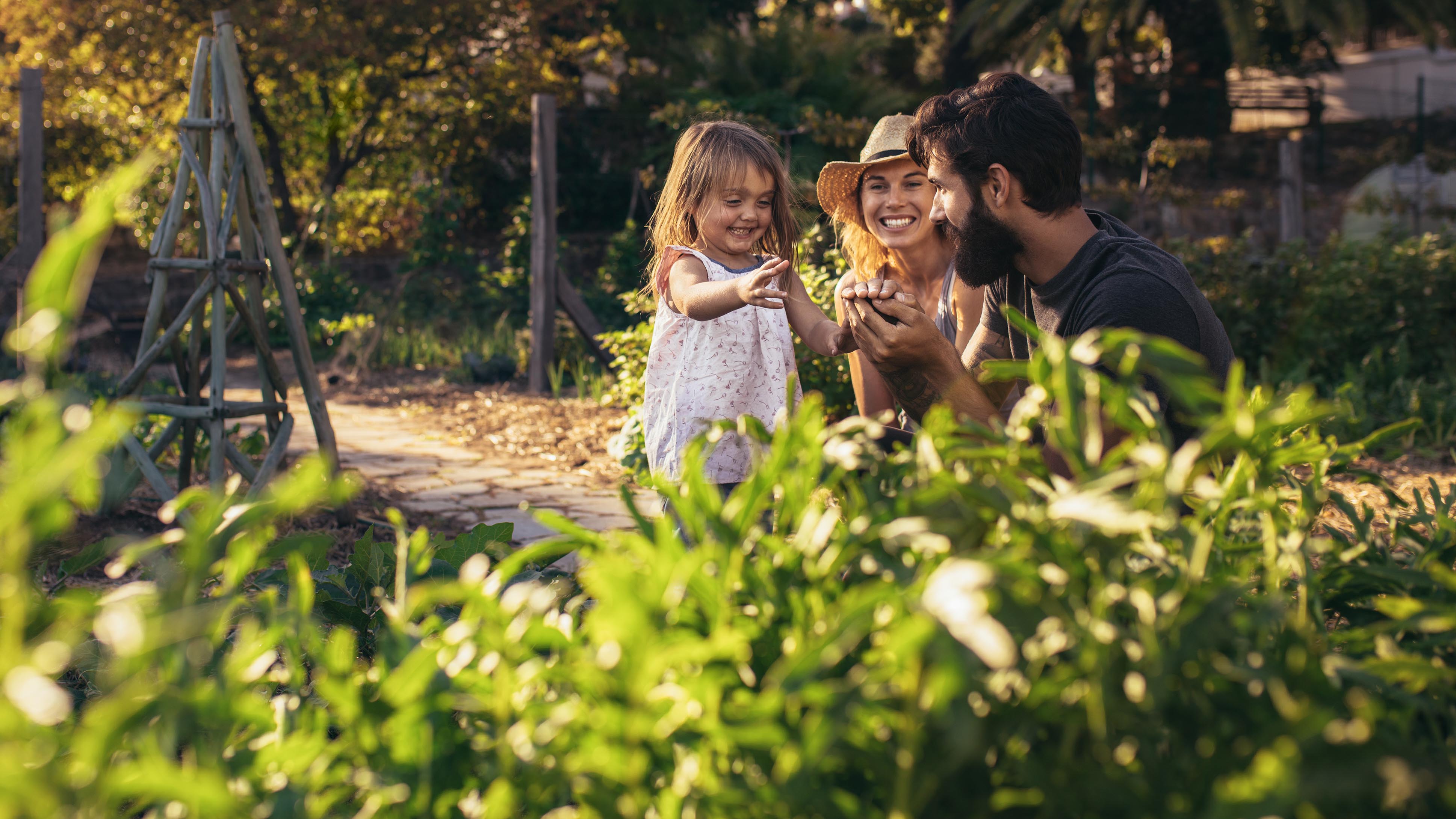 Home Arrow Financial Services