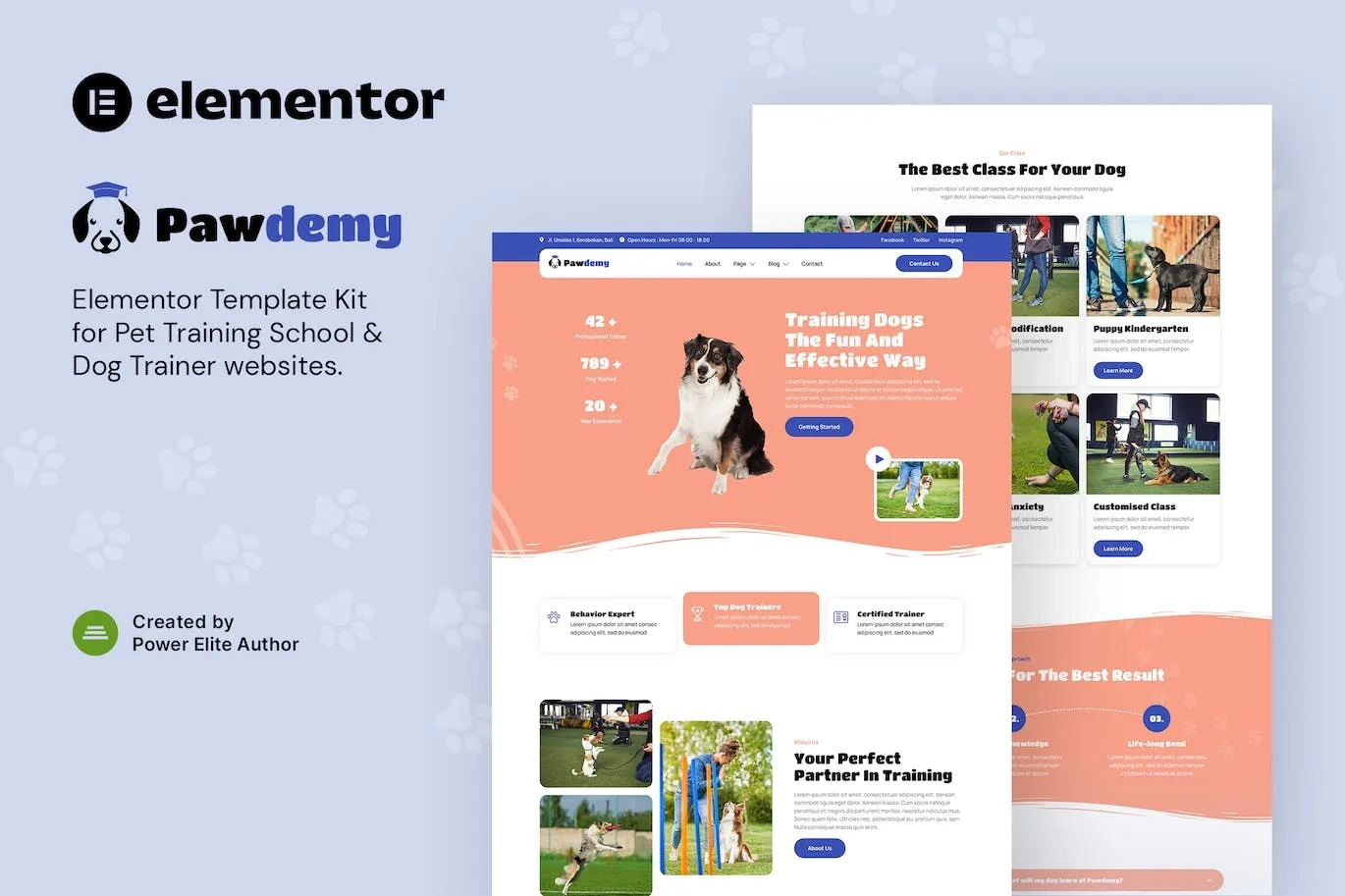 Pawdemy – Pet Training Academy Pawdemy – Pet Training Academy
