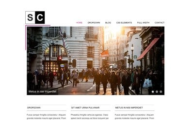 Viva Themes Space Color WordPress Theme Viva Themes Space Color WordPress Theme