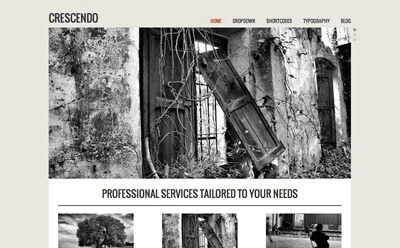 Viva Themes Crescendo WordPress Theme Viva Themes Crescendo WordPress Theme