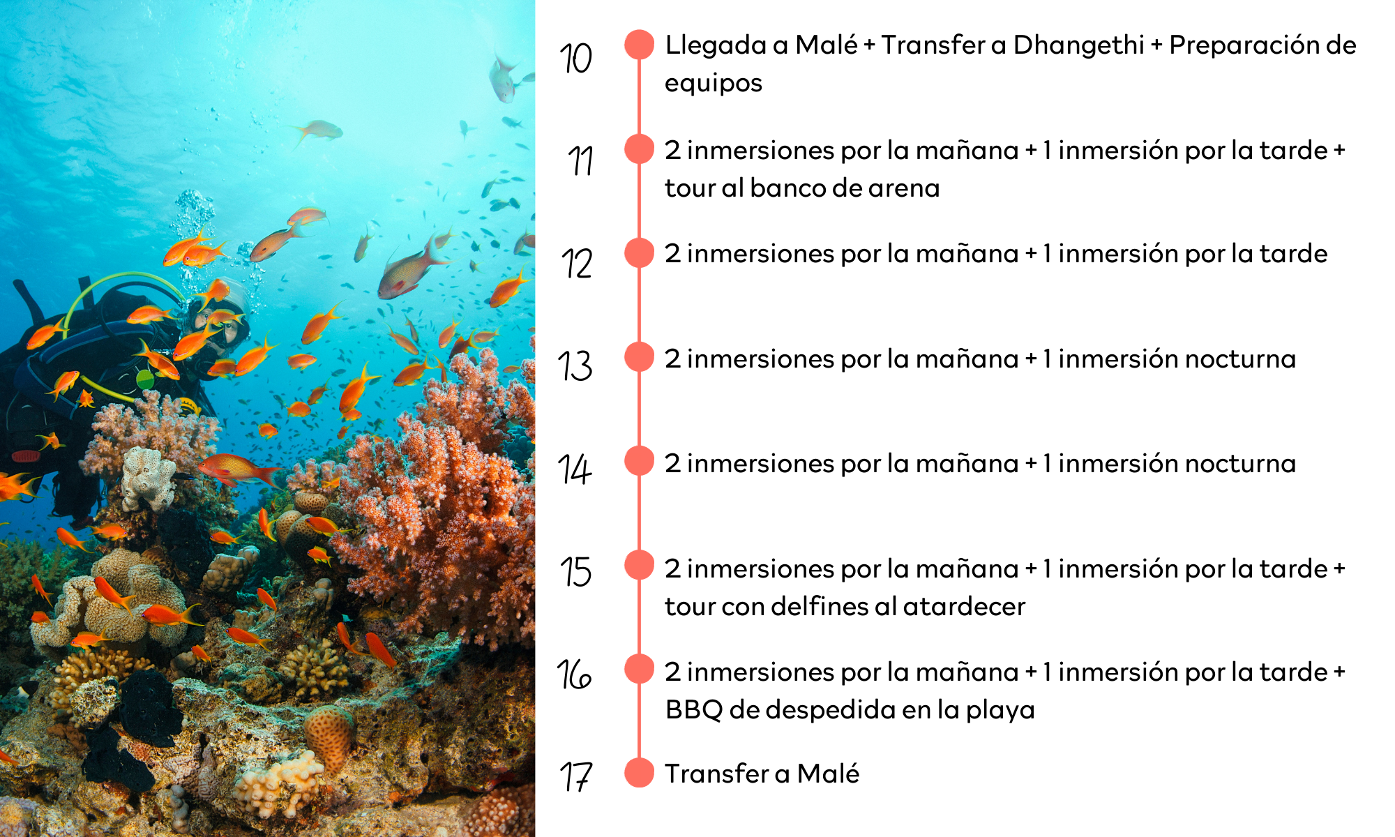 Bucea en las islas Maldivas