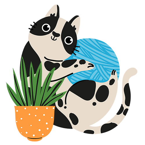 Cat Grooming in Dubai Best Care for Your Feline Friend